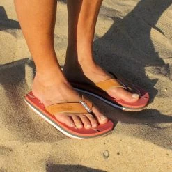 Cool Shoe Eve Slight 2 Women Sandals - 64 12 Cool Shoe Eve Slight 2 Women Sandals - 64 -Aqua Fit Shop cool shoe eve slight 2 women sandals 64 3 1491287