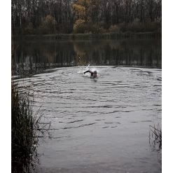 Orca Athlex Flow Wetsuit - Silver Total -Aqua Fit Shop orca athlex flow wetsuit silver total 32 1479531